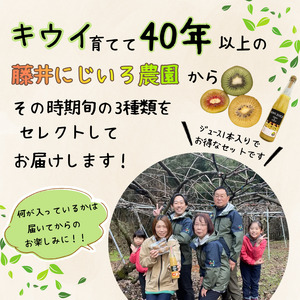 【先行予約】キウイ フルーツ 食べ比べ アソート 3種 約1.4kg ＆ キウイ ジュース 500ml （ 果汁 70％ ） セット 阿武町産 キウイ トリプル ジュースセット フルーツ 果物 詰め合わせ 山口県産 【お届け：2026年11月中旬～2027年2月下旬頃 出荷予定】