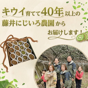 【先行予約】キウイ フルーツ 食べ比べセット 約1.9kg （ 4種アソート ） 阿武町産 希少品種を厳選！ 旬の味 を堪能 フルーツ 果物 デザート 山口県産 【お届け：2026年11月中旬～2027年2月下旬】※品種指定不可・合計8種から4種をお届け