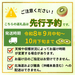 【先行予約】キウイ 黄金甘露 約1.9kg 山口県 阿武町産 国産 希少品種 早生 とろける甘さ ジューシー 数量限定《2026年9月中旬～10月中旬発送》
