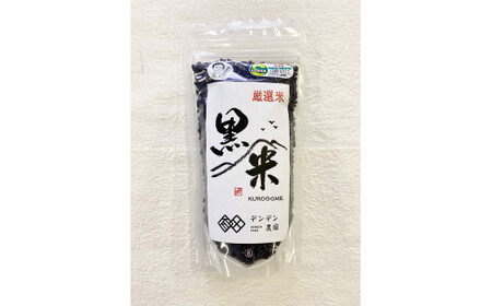 伊万里ご当地カレー セット113-G224
