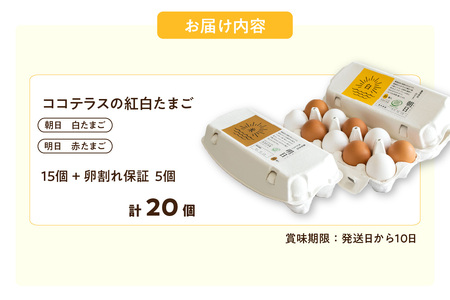 ココテラスの紅白たまご　15個 + 5個保証（計20個）【JGAP認証】 農家直送 新鮮 卵 タマゴ 赤卵 白卵 玉子 鶏卵 朝食 夕食 夜食 朝ごはん たまご焼き だし巻き卵 オムレツ 卵ご飯 料理 濃厚 飼料にこだわった 卵かけご飯 米たまご 生卵 大容量 お取り寄せ 愛知県 常滑市