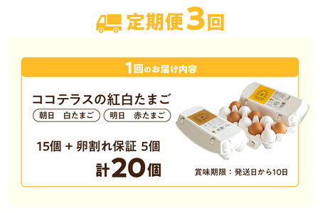 【3ヵ月定期便】ココテラスの紅白たまご　15個 + 5個保証（計20個）【JGAP認証】 農家直送 新鮮 卵 タマゴ 赤卵 白卵 玉子 鶏卵 朝食 夕食 夜食 朝ごはん たまご焼き だし巻き卵 オムレツ 卵ご飯 料理 濃厚 飼料にこだわった 卵かけご飯 米たまご 生卵 大容量 お取り寄せ 愛知県 常滑市