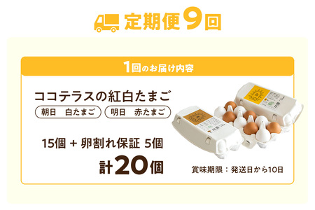 【9ヵ月定期便】ココテラスの紅白たまご　15個 + 5個保証（計20個）【JGAP認証】 農家直送 新鮮 卵 タマゴ 赤卵 白卵 玉子 鶏卵 朝食 夕食 夜食 朝ごはん たまご焼き だし巻き卵 オムレツ 卵ご飯 料理 濃厚 飼料にこだわった 卵かけご飯 米たまご 生卵 大容量 お取り寄せ 愛知県 常滑市