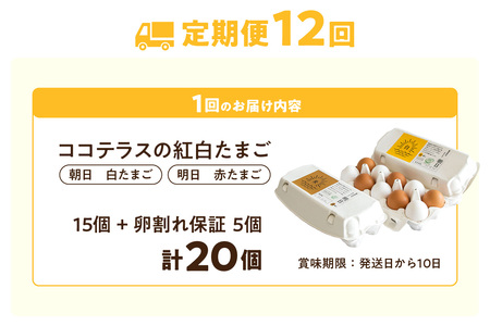 【12ヵ月定期便】ココテラスの紅白たまご　15個 + 5個保証（計20個）【JGAP認証】 農家直送 新鮮 卵 タマゴ 赤卵 白卵 玉子 鶏卵 朝食 夕食 夜食 朝ごはん たまご焼き だし巻き卵 オムレツ 卵ご飯 料理 濃厚 飼料にこだわった 卵かけご飯 米たまご 生卵 大容量 お取り寄せ 愛知県 常滑市