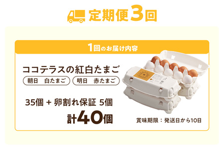 【3ヵ月定期便】ココテラスの紅白たまご　35個 + 5個保証（計40個）【JGAP認証】 農家直送 新鮮 卵 タマゴ 赤卵 白卵 玉子 鶏卵 朝食 夕食 夜食 朝ごはん たまご焼き だし巻き卵 オムレツ 卵ご飯 料理 濃厚 飼料にこだわった 卵かけご飯 米たまご 生卵 大容量 お取り寄せ 愛知県 常滑市