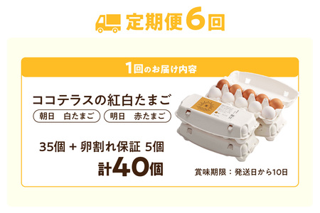【6ヵ月定期便】ココテラスの紅白たまご　35個 + 5個保証（計40個）【JGAP認証】 農家直送 新鮮 卵 タマゴ 赤卵 白卵 玉子 鶏卵 朝食 夕食 夜食 朝ごはん たまご焼き だし巻き卵 オムレツ 卵ご飯 料理 濃厚 飼料にこだわった 卵かけご飯 米たまご 生卵 大容量 お取り寄せ 愛知県 常滑市