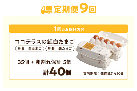 【9ヵ月定期便】ココテラスの紅白たまご　35個 + 5個保証（計40個）【JGAP認証】 農家直送 新鮮 卵 タマゴ 赤卵 白卵 玉子 鶏卵 朝食 夕食 夜食 朝ごはん たまご焼き だし巻き卵 オムレツ 卵ご飯 料理 濃厚 飼料にこだわった 卵かけご飯 米たまご 生卵 大容量 お取り寄せ 愛知県 常滑市