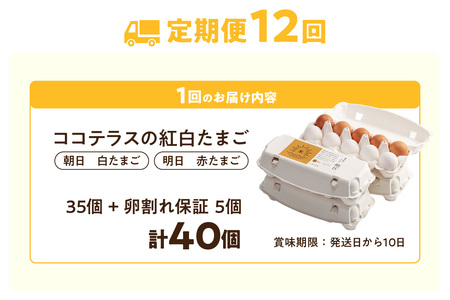 【12ヵ月定期便】ココテラスの紅白たまご　35個 + 5個保証（計40個）【JGAP認証】 農家直送 新鮮 卵 タマゴ 赤卵 白卵 玉子 鶏卵 朝食 夕食 夜食 朝ごはん たまご焼き だし巻き卵 オムレツ 卵ご飯 料理 濃厚 飼料にこだわった 卵かけご飯 米たまご 生卵 大容量 お取り寄せ 愛知県 常滑市