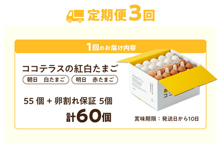 【3ヵ月定期便】ココテラスの紅白たまご　55個 + 5個保証（計60個）【JGAP認証】 農家直送 新鮮 卵 タマゴ 赤卵 白卵 玉子 鶏卵 朝食 夕食 夜食 朝ごはん たまご焼き だし巻き卵 オムレツ 卵ご飯 料理 濃厚 飼料にこだわった 卵かけご飯 米たまご 生卵 大容量 お取り寄せ 愛知県 常滑市