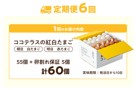 【6ヵ月定期便】ココテラスの紅白たまご　55個 + 5個保証（計60個）【JGAP認証】 農家直送 新鮮 卵 タマゴ 赤卵 白卵 玉子 鶏卵 朝食 夕食 夜食 朝ごはん たまご焼き だし巻き卵 オムレツ 卵ご飯 料理 濃厚 飼料にこだわった 卵かけご飯 米たまご 生卵 大容量 お取り寄せ 愛知県 常滑市