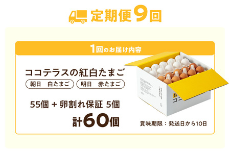 【9ヵ月定期便】ココテラスの紅白たまご　55個 + 5個保証（計60個）【JGAP認証】 農家直送 新鮮 卵 タマゴ 赤卵 白卵 玉子 鶏卵 朝食 夕食 夜食 朝ごはん たまご焼き だし巻き卵 オムレツ 卵ご飯 料理 濃厚 飼料にこだわった 卵かけご飯 米たまご 生卵 大容量 お取り寄せ 愛知県 常滑市