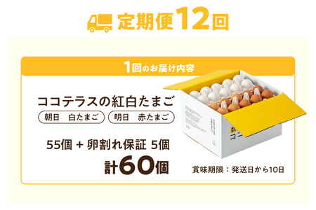 【12ヵ月定期便】ココテラスの紅白たまご　55個 + 5個保証（計60個）【JGAP認証】 農家直送 新鮮 卵 タマゴ 赤卵 白卵 玉子 鶏卵 朝食 夕食 夜食 朝ごはん たまご焼き だし巻き卵 オムレツ 卵ご飯 料理 濃厚 飼料にこだわった 卵かけご飯 米たまご 生卵 大容量 お取り寄せ 愛知県 常滑市