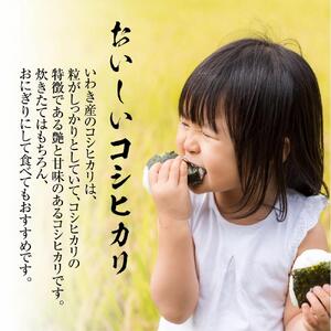 【米・味噌・醤油セット】いわき市産　コシヒカリ5kg　山田屋醸造　味噌＆醤油の食べ比べセット　精米済み　契約農家米　(お米のおいしい炊き方ガイド付き)