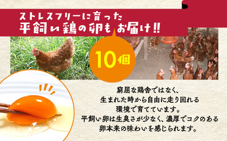 【6回定期便】＜アスカ有機農園＞旬の京野菜セットＬ 野菜