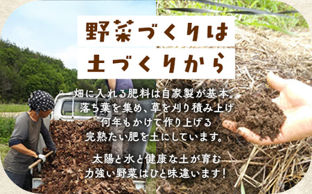 【12回定期便】旬の京野菜セットＳ 野菜【アスカ有機農園】