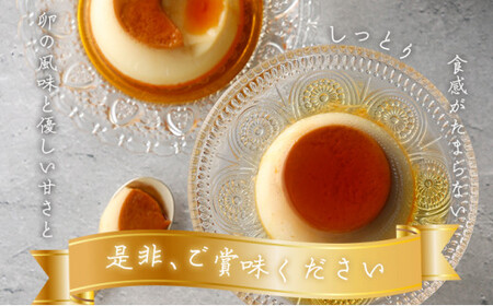 [037-a012_A] プリン たまごやさんのりっちたまごプリン6個セット