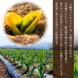 オーガニックにんにく使用 すばるファームの黒にんにく 75g ／ 黒にんにく 黒ニンニク にんにく ニンニク 大蒜 ガーリック オーガニック 岩手県産にんにく 八幡平市産にんにく 八幡平バイオレット 数量限定 美味しい おいしい 自宅用 家庭用