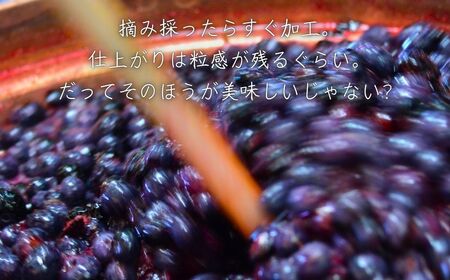 チルチルのジャム 150g×3個セット（赤いルバーブ・ブルーベリー・カシス） | ジャム