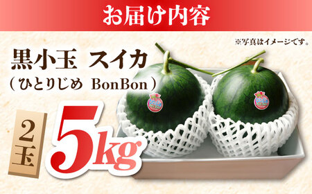 熊本スイカ先行予約 黒小玉スイカ(ひとりじめBonBon)2玉計約5kgすいか西瓜ZBY001