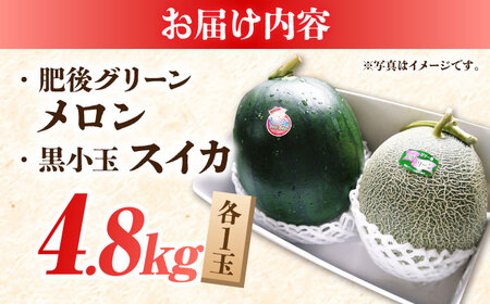 熊本スイカメロン先行予約 黒小玉スイカ(ひとりじめBonBon)・肥後グリーンメロンセット各1玉(計約4.8kg)すいかめろんZBY003