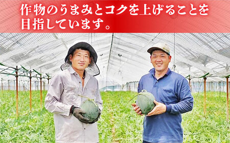熊本メロン先行予約 肥後グリーンメロン1玉約3kg糖度16度以上めろんZBY004