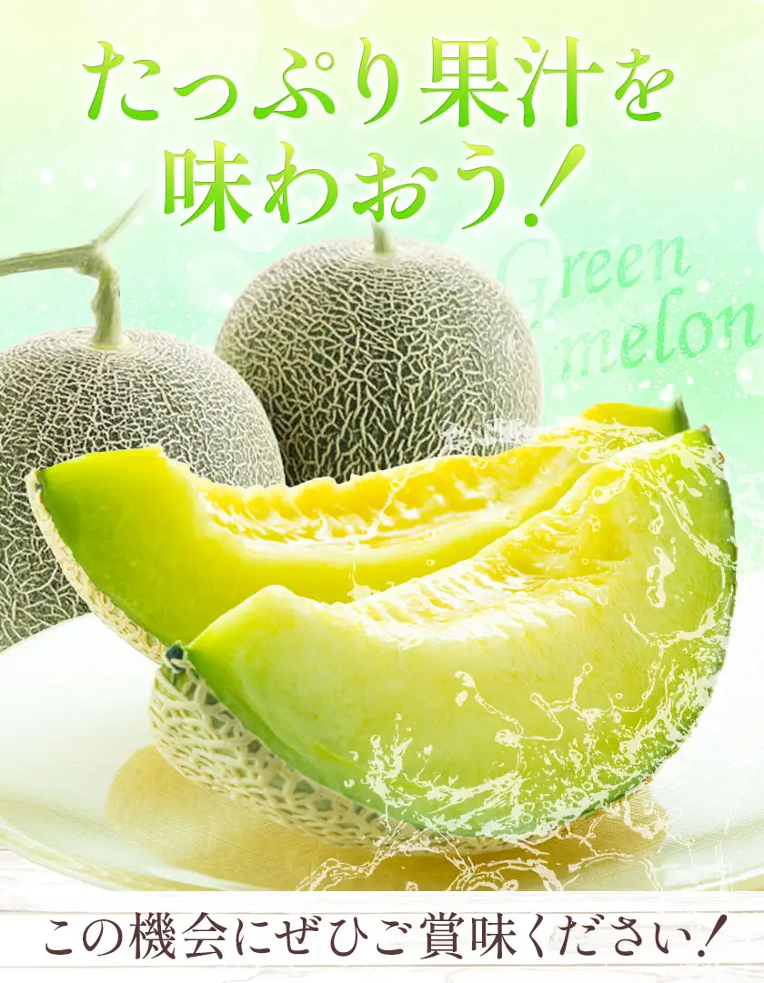 肥後グリーンメロン 1玉 2L以上【メロンドーム】 メロン 果物 フルーツ 九州産 熊本県産 送料無料【2026年5月中旬頃より出荷】【先行予約】
