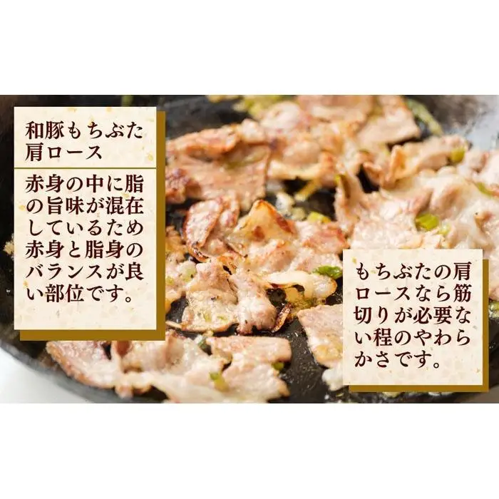 越後もちぶた（新潟県産和豚もちぶた） 焼肉セット800g