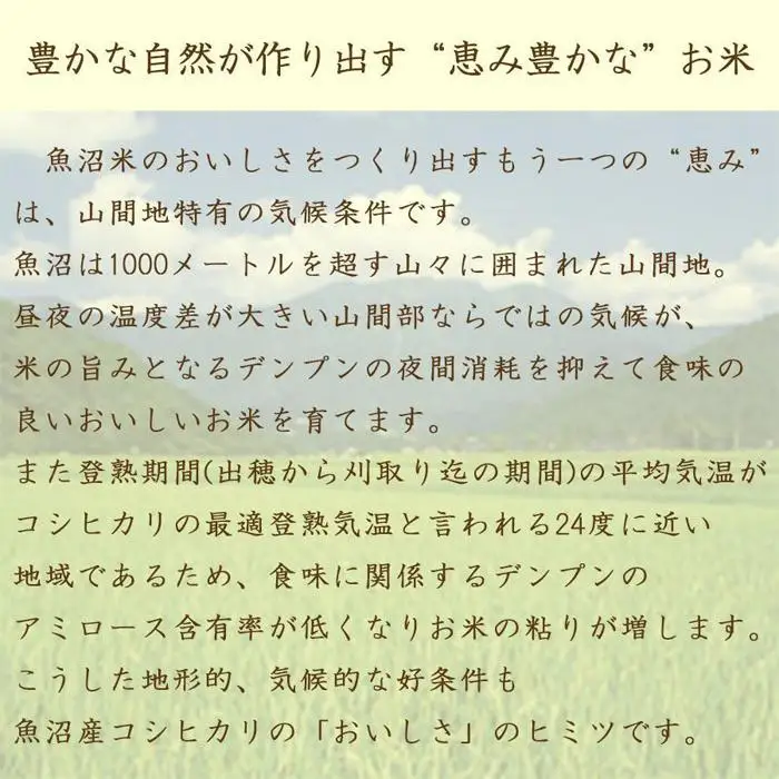 【大口】無洗米新潟県産魚沼コシヒカリ5kg×112袋　560kg