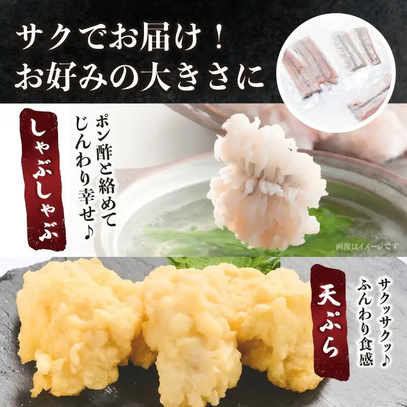 瀬戸内海のハモの骨切り（鍋・天ぷら用）