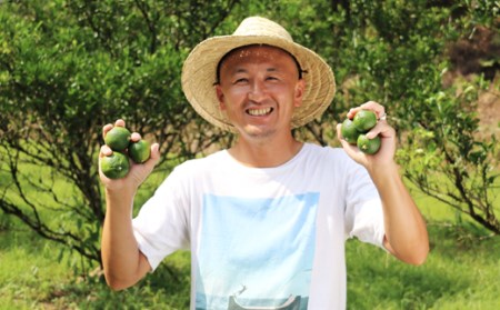 【期間限定発送】 へべす 訳あり 柑橘 ふぞろい 果実 5kg [山本農園 宮崎県 日向市 452060744]