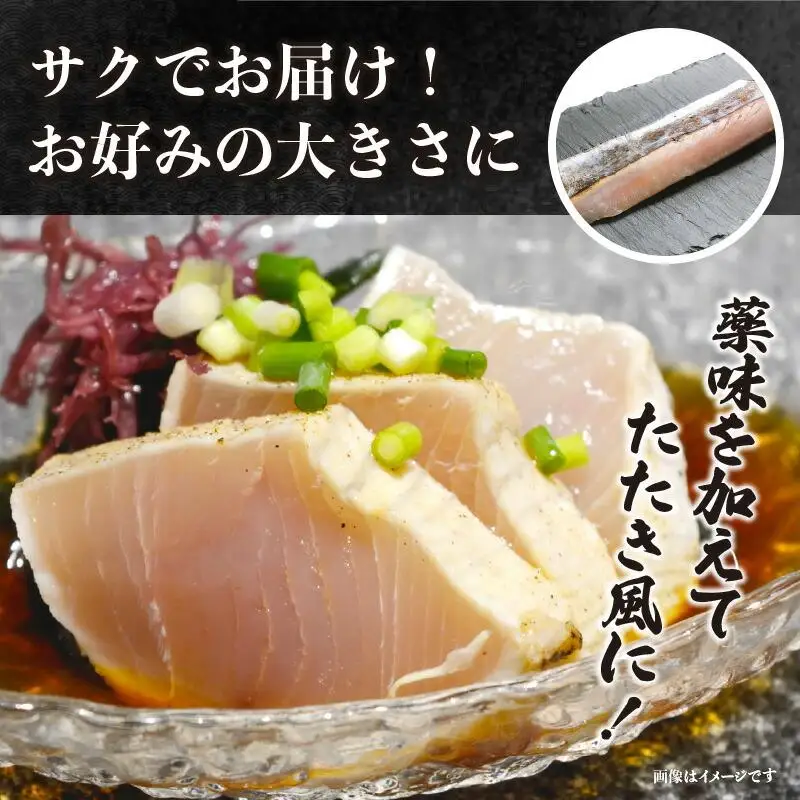 瀬戸内海のサワラの炙り