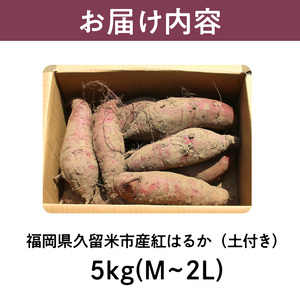 福岡県久留米市産　長期熟成紅はるか 5kg　M～2L　土付き 〔Gx036〕