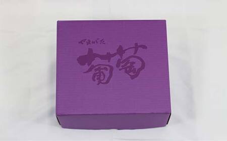 【先行受付 令和8年度発送】大房もぎたてシャインマスカット 2房 1.5kg ギフト箱入り マスカット ぶどう ブドウ 葡萄 デザート フルーツ 果物 くだもの 果実 食品 山形県 FSY-1210