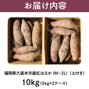 福岡県久留米市産　長期熟成紅はるか 10kg　M～2L　土付き 〔Gx040〕
