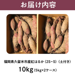 福岡県久留米市産 長期熟成紅はるか 10kg  2S～S 土付き_さつまいも 紅はるか 10kg 2S ～ S サイズ 土付き 久留米産 栽培期間中農薬不使用 長期熟成 熟成 上品 甘み ねっとり しっとり 本場 美味しい おやつ スイーツ 常温発送 国産 九州 福岡県 久留米市 お取り寄せ お取り寄せグルメ 送料無料 〔Gx042〕