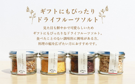 ドライフルーツソルト4種 A8-51_果物・フルーツ りんご  リンゴ 林檎  果物・フルーツ みかん  ミカン 蜜柑  調味料 塩  しお  果物・フルーツ キウイ  きうい  果物・フルーツ  柑橘   果物・フルーツ  ドライフルーツ   果物・フルーツ ブルーベリー    野菜  トマト _【配送不可地域：離島】【1167929】