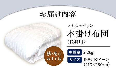 洗える 人工羽毛 掛け布団 長身用クイーン [BAAK008]掛け布団