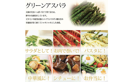 【2027年春発送】極太 グリーンアスパラ 3Lサイズ 1kg (スイートベジタブルファクトリー)
