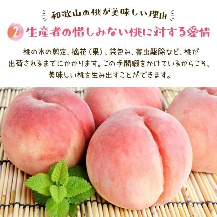 フルーツ王国 和歌山 の 桃 約4kg（fr-07）_ 先行予約 2026年6月中旬から7月下旬発送［MS108］