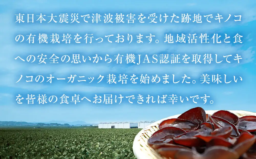 名取市産 きくらげ の トマンネーゼ きくらー油 90g×10袋セット ラー油 ご飯のお供  野菜炒め パスタ
