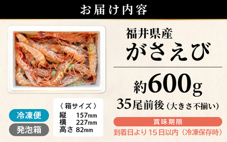 【発泡箱入り】がさえび 約600g エビ 冷凍 [A-23106]