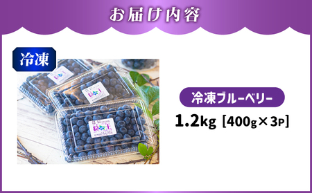 【 先行予約 】141-3 粒王 冷凍 ブルーベリー 1.2kg（400g×3P） KN030-002 果物