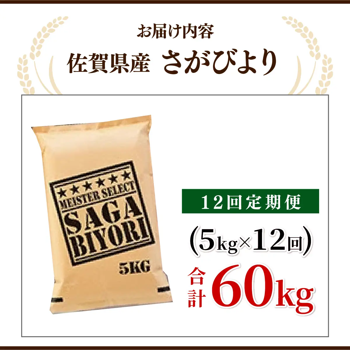さがびより 白米 5kg×12回