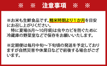 さがびより 白米 10kg×6回