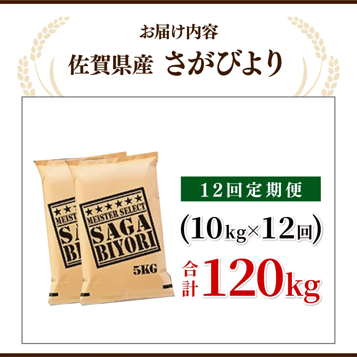 さがびより 白米 10kg×12回