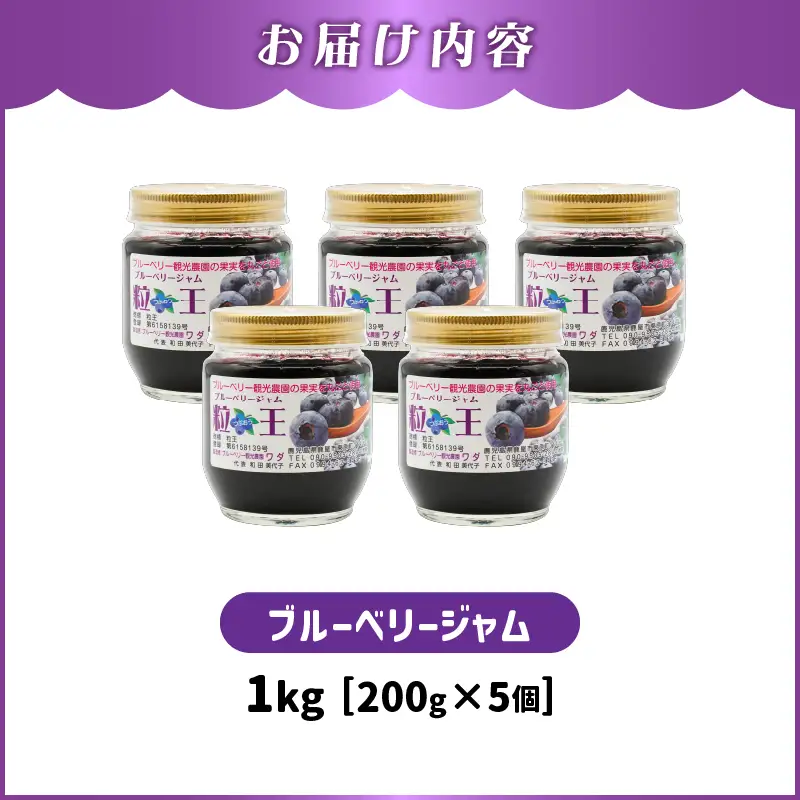 1903-1 粒王 ブルーベリー ジャム 200g × 5個 KN030-003 加工食品 果物