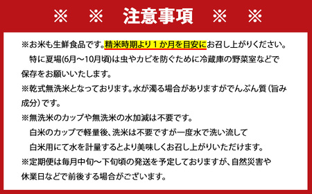 さがびより無洗米 5kg×12回