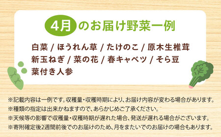 高槻おまかせ野菜詰め合わせセット 4月（10種〜15種）[AOCS010] 野菜セット