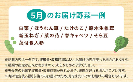 高槻野菜おまかせ詰め合わせセット 5月（10種〜15種）[AOCS011] 野菜セット
