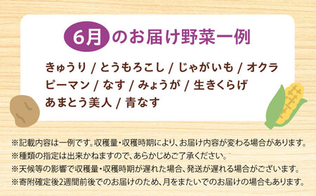 高槻野菜おまかせ詰め合わせセット 6月（10種〜15種）[AOCS012] 野菜セット